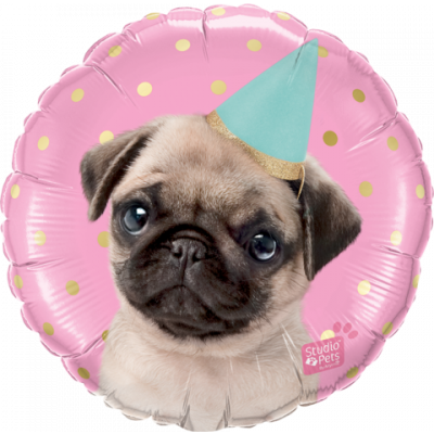45cm Happy Birthday Party Pug Foil Balloon