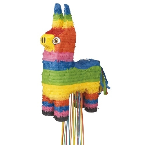 rainbow burro