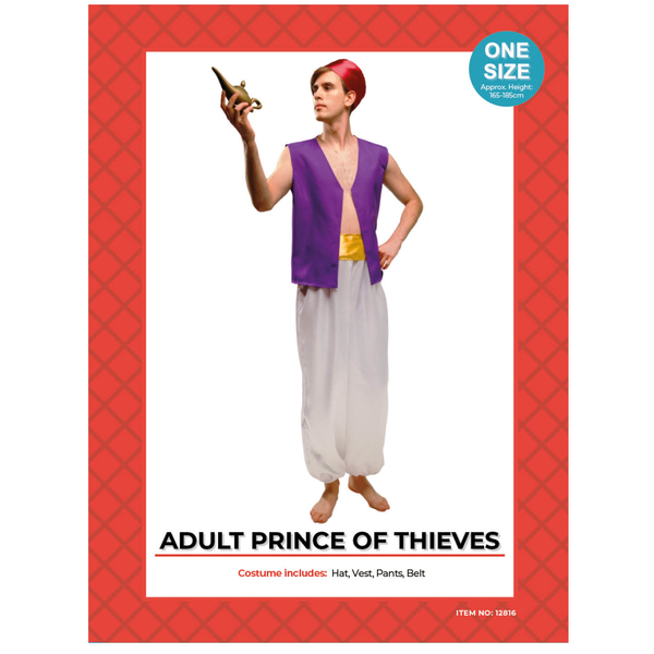 prince of thives costume