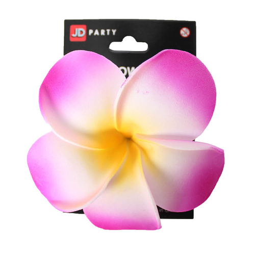 hawaiian frangipani flower hai2