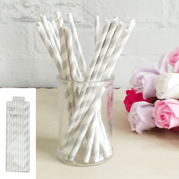 20pk Silver Stripes Paper Straws