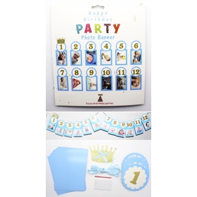 Baby 12 Month Photo Banner Blue