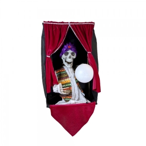 Hanging Zoltan Fortune Teller with Lights Sound