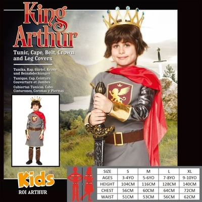King Arthur Costume