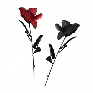 Red or Black Rose 6 x 6 x 43cm