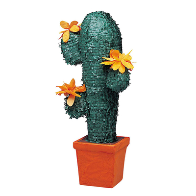 Pinata Cactus 1
