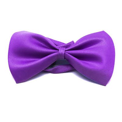 Plain Bow Tie Purple