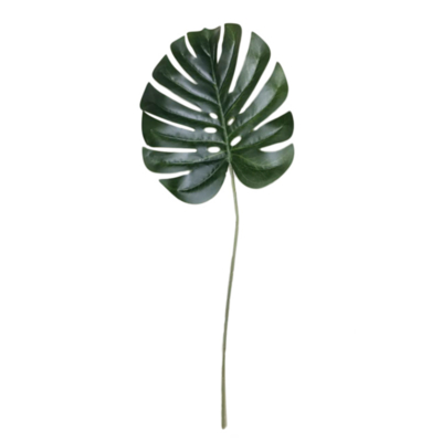 Tropical Leaf Philodendron