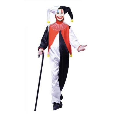 Adult Jester Costume