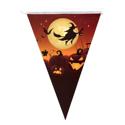 Flying Witch Bunting Flag