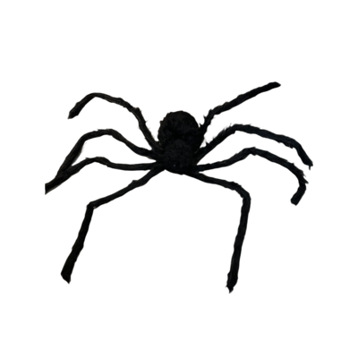 Scary Spider with Sounds