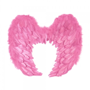 Soft Pink Curved Feather Wings