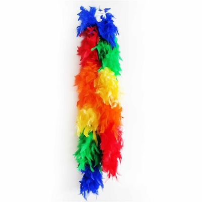 1.5m Rainbow Feather Boa